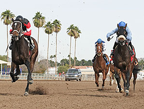Idling wins the 2013 Arizona Juvenile Fillies Stakes.