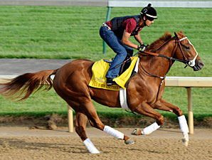 I'll Have Another at Churchill Downs 4/30/2012