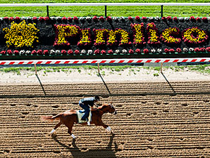 I'll Have Another  - Pimlico, May 11, 2012.