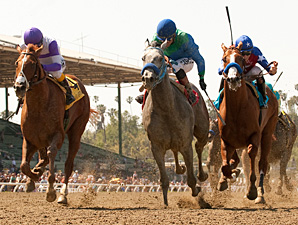 I'll Have Another (left) outfights Creative Cause (center) and Blueskiesnrainbows (right) to win the Santa Anita Derby.