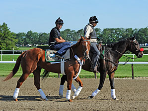 I'll Have Another - Belmont Park, June 1, 2012.