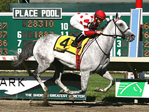 Ima Jersey Girl wins the 2012 Jersey Girl Handicap.