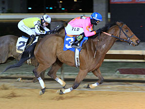 Immortal Eyes wins the 2013 Valentine's Day Handicap.