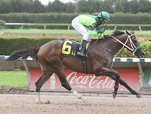 Imperial Czar wins the 2011 American Dreamer.
