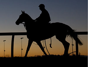 Imperial Monarch - Woodbine, October 12, 2012