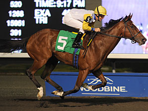 Impossible Time wins the 2010 Classy 'n Smart Stakes.