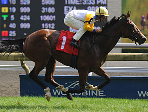 Impossible Time wins the 2010 Victoriana.