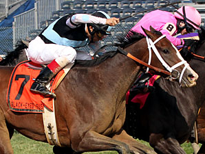 In Lingerie wins the 2012 Black-Eyed Susan.