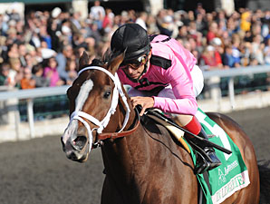 In Lingerie wins the 2012 Spinster.