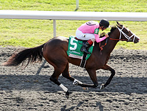 In Lingerie wins the 2012 Spinster.