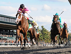 In Lingerie wins the 2012 Spinster.