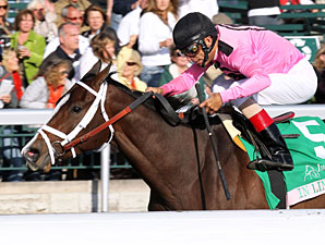 In Lingerie wins the 2012 Spinster.