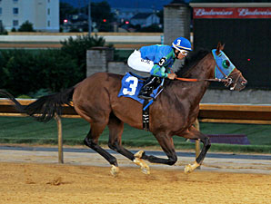 In the Fairway wins the 2013 Coin Collector Stakes.