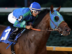 In the Fairway wins the 2013 Coin Collector Stakes.