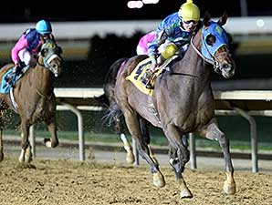 In the Fairway wins the 2014 Confucius Say Stakes.