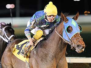 In the Fairway wins the 2014 Confucius Say Stakes.