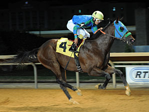 In the Fairway wins the 2012 Henry Mercer Memorial Stakes.