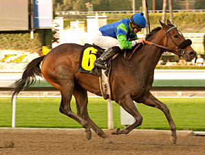 Include Me Out in the La Canada Stakes.