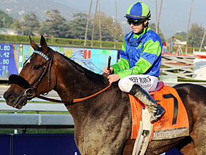 Include Me Out at the 2012 Breeders' Cup.