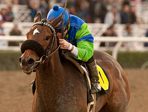 Include Me Out in the La Canada Stakes.