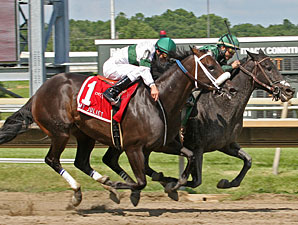 Indian Legend wins the 2011 My Juliet Stakes.