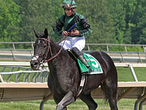 Indian Legend wins the 2011 My Juliet Stakes.