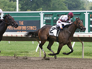 Indian Spell wins the 2013 Miss Woodford.