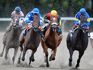 Indian Blessing wins the 2009 Gallant Bloom.