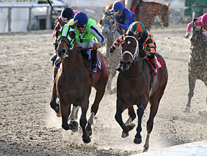 Infrattini wins the 2013 Louisiana Handicap.