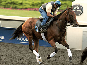 Inglorious jogs before racing in the Queen's Plate at Woodbine.