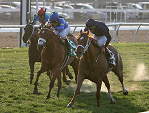 Inspired wins the Pan Zareta.