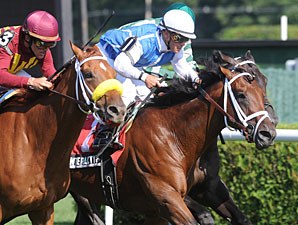 Interactif wins the 2010 Hall of Fame Stakes.