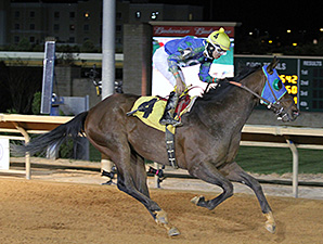 In the Fairway wins the Confucius Say.