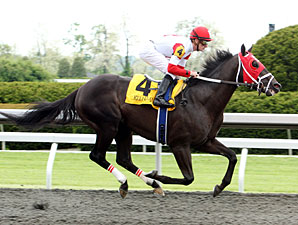 Into the Fray - Maiden Win 04/20/2012