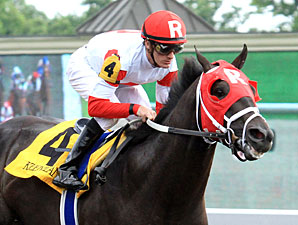 Into the Fray - Maiden Win 04/20/2012