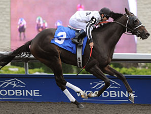 Invitation Only wins the 2010 Simcoe Stakes.