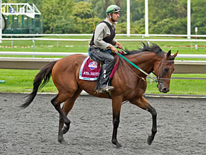 Ioya Bigtime at Arlington Park.
