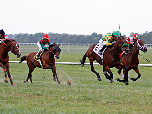 Ioya Bigtime wins the 2012 Kentucky Turf Cup.