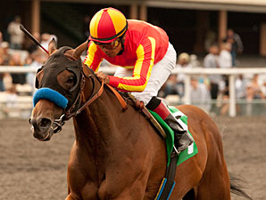 Irish Gypsy wins the Desert Storm Handicap.