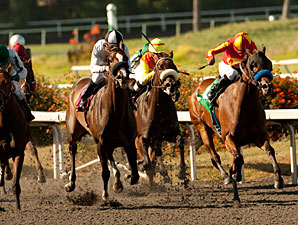 Irish Gypsy wins the 2011 A Gleam.