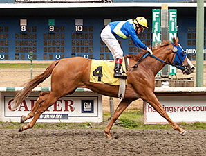 Irish Lyric wins the CTHS Sales Stakes.