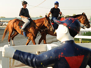 Irish Mission - Woodbine, June 21, 2012.