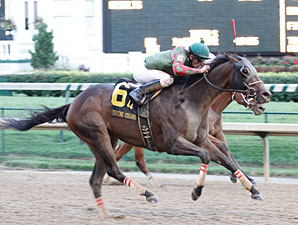 Island Bound wins the 2012 Winning Colors.
