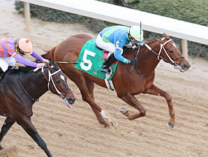 It Happened Again wins the 2011 Razorback Handicap.