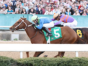 It Happened Again wins the 2011 Razorback Handicap.