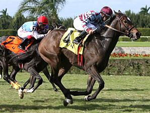 Italo wins the 2011 Arthur Appleton Juvenile Turf.