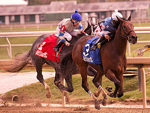 It's a Bang wins the 2013 Maryland Million Nursery Stakes.