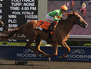 It's Gail wins the 2012 Eternal Search Stakes.