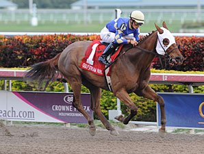 It's Me Mom wins the 2012 Sunshine Millions Filly & Mare Sprint.