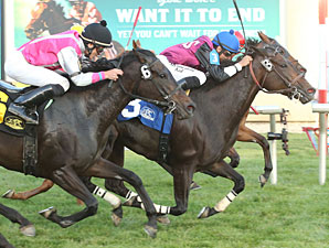 It's Tamareno wins the 2013 Princess Elaine Stakes.